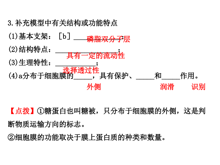 流动镶嵌(定稿)_第3页