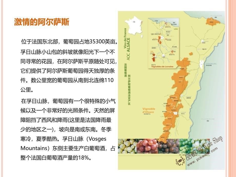 法国葡萄酒产地介绍_第5页