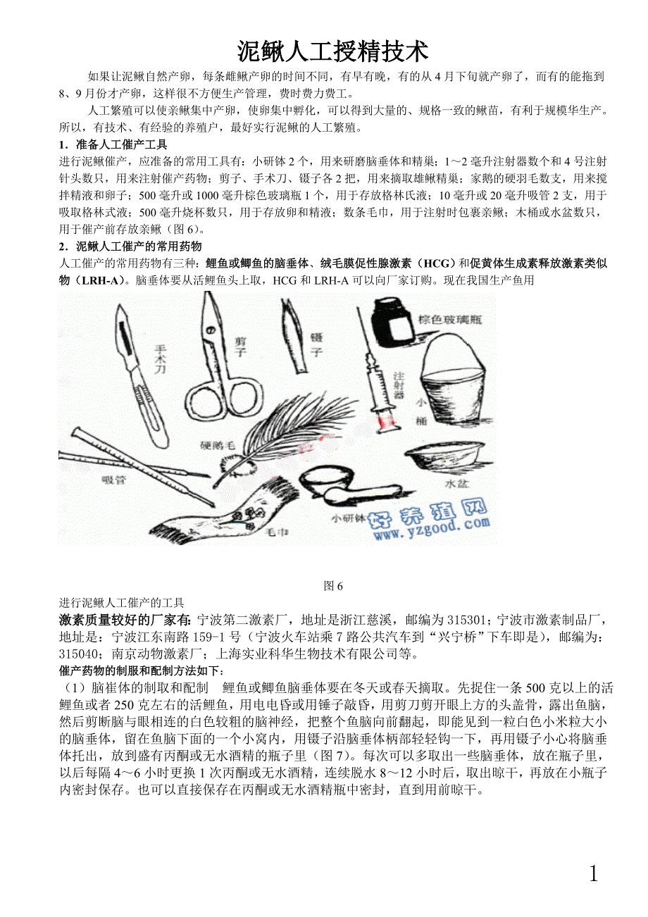 泥鳅人工授精技术_第1页