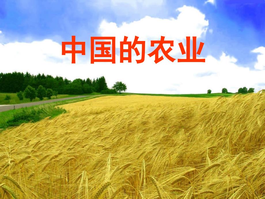 中国农业课件 - 副本_第1页
