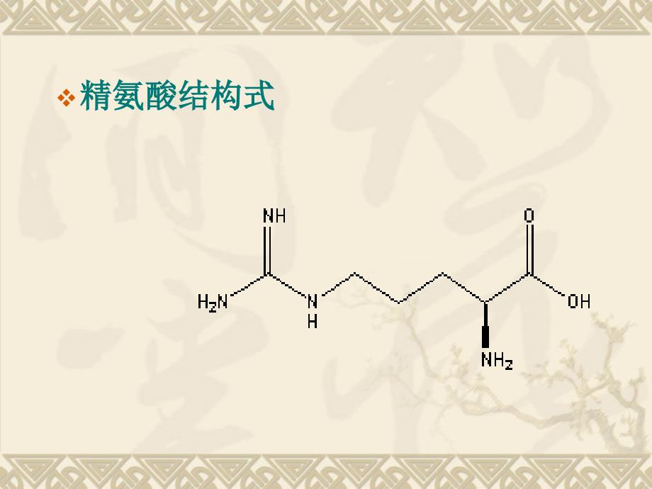 精氨酸--容星 易方勇 肖军_第3页