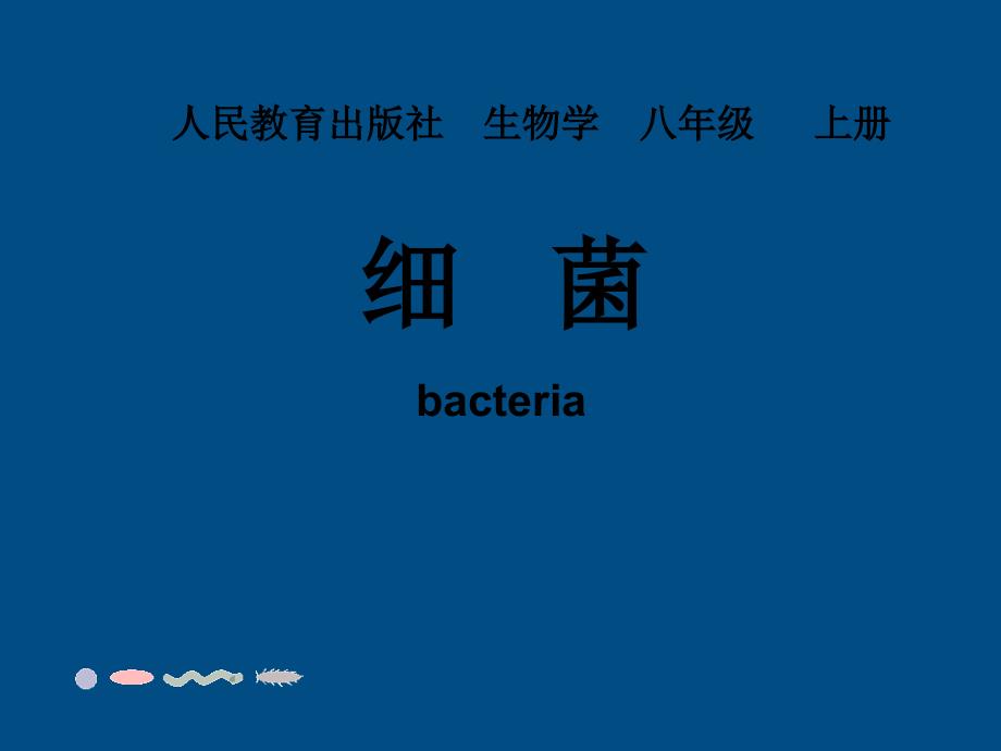 八年级生物上册_第四章第二节细菌课件_人教新课标版_第1页