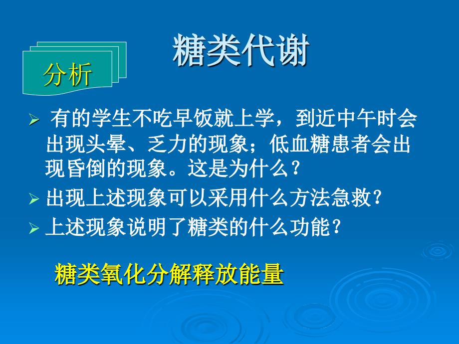 生物体内的营养物质转化(上海高中生物)_第2页