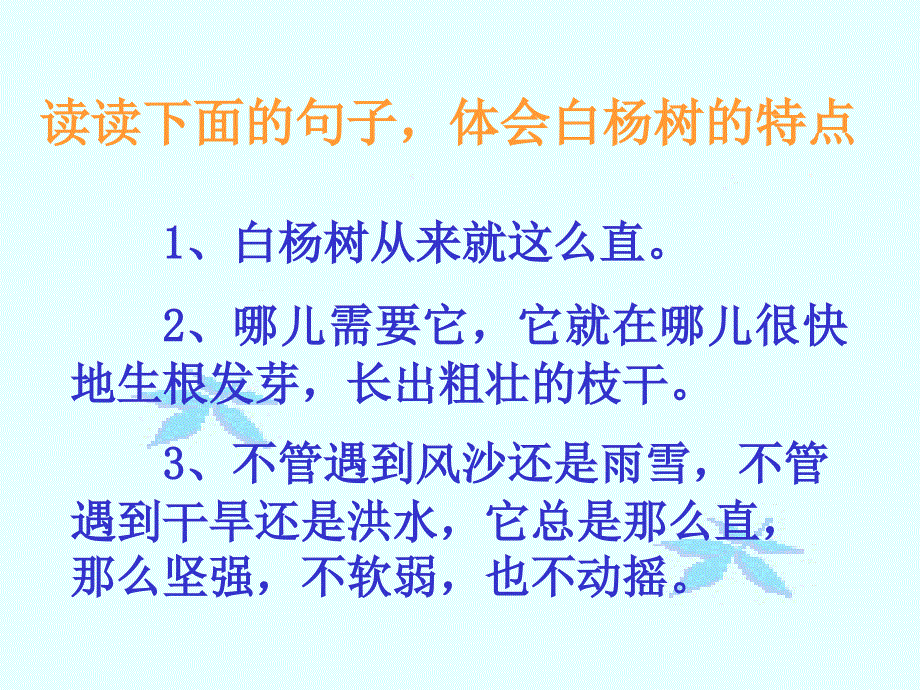 《白杨》教学课件2_第4页