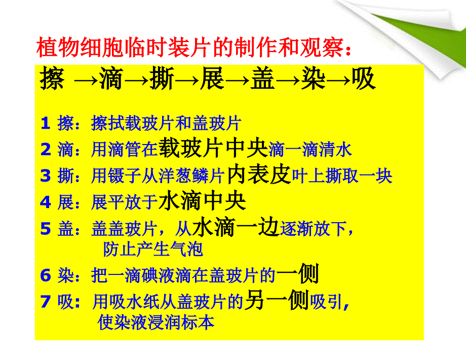 七年级生物上册_观察植物_动物细胞实验课课件_人教新课标版_第1页