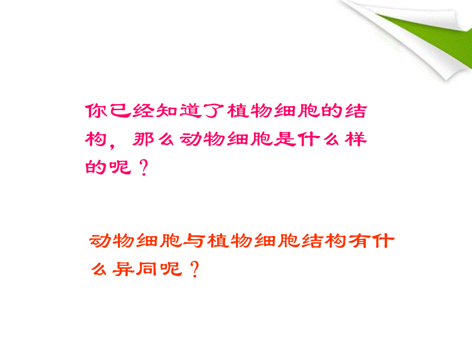 七年级生物上册_观察植物_动物细胞实验课课件_人教新课标版_第4页