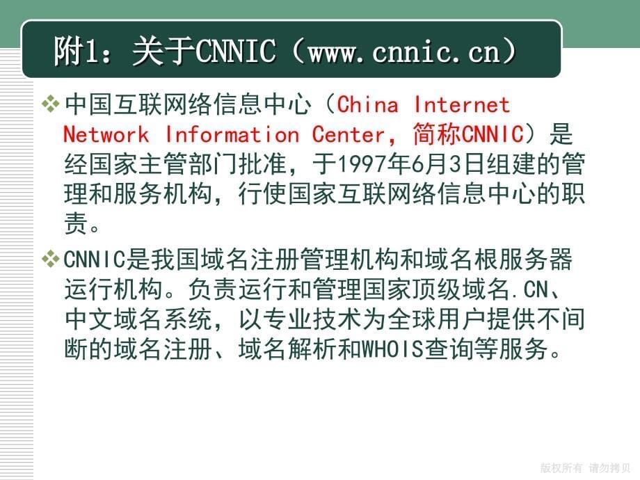 网络营销概述教学课件PPT_第5页