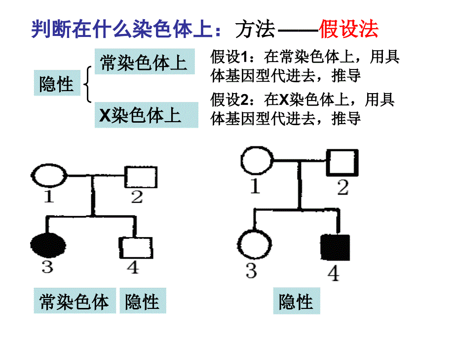 2011年高考生物复习专题17：遗传题解题技巧._第4页