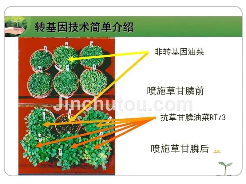 转基因成分pcr定性检测技术_第5页