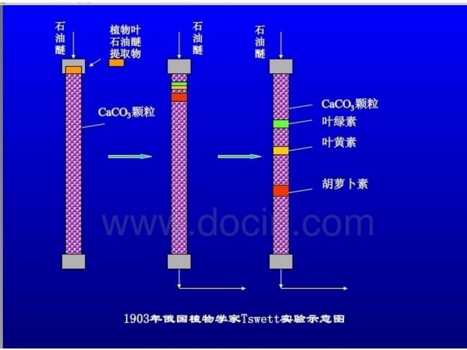 吸附层析——樊启弟_第5页