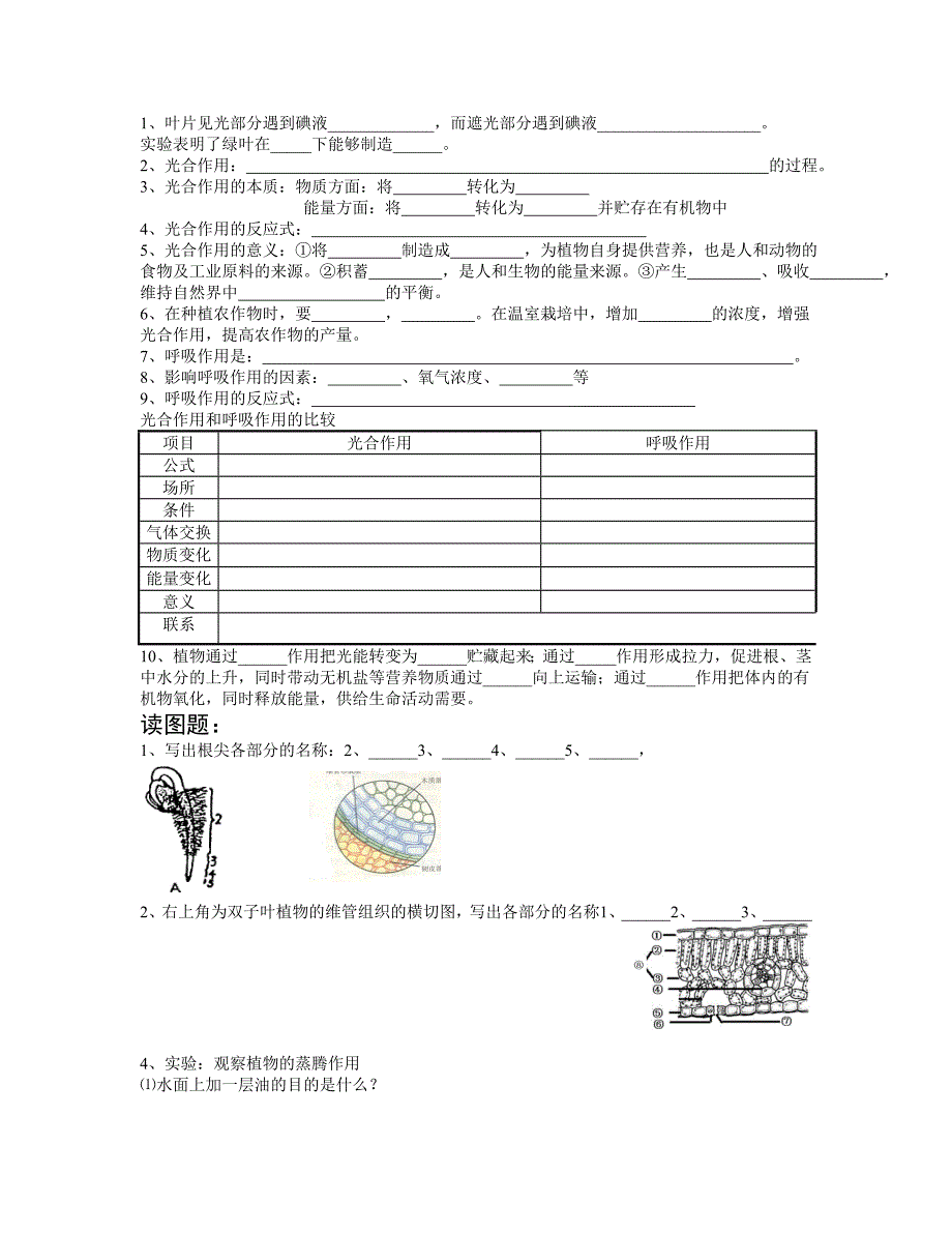 植物茎叶的填空小结_第3页