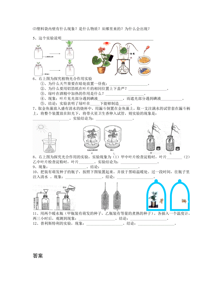 植物茎叶的填空小结_第4页