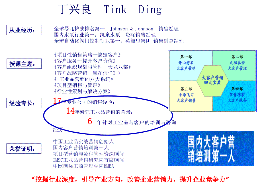 项目性销售与管理_第2页