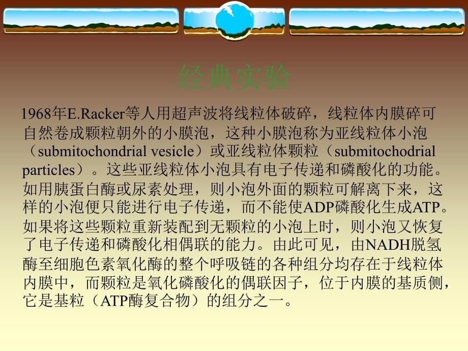 证明线粒体的电子传递和氧化磷酸化是由两2个不同的结构..._第5页