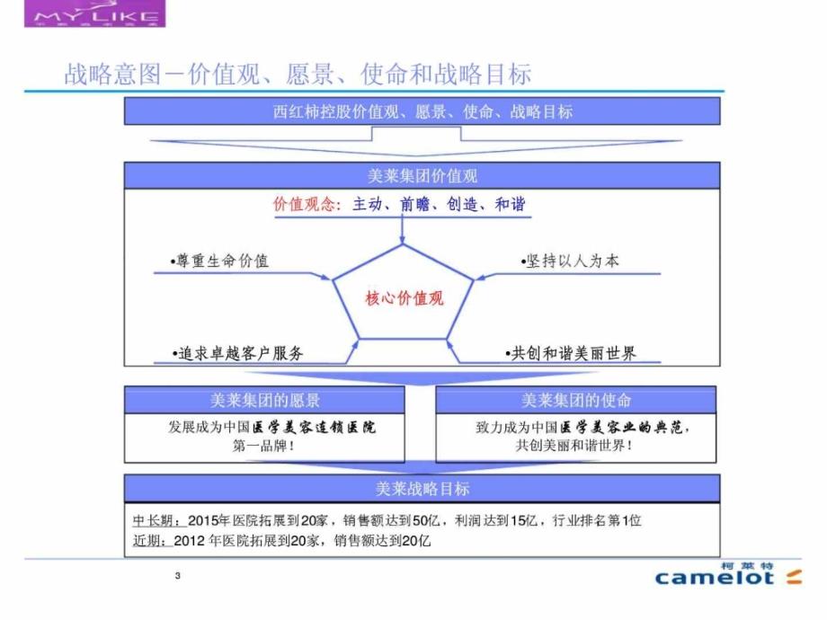 美莱集团业务战略制定各步骤之间具有密切的逻辑联系_第3页