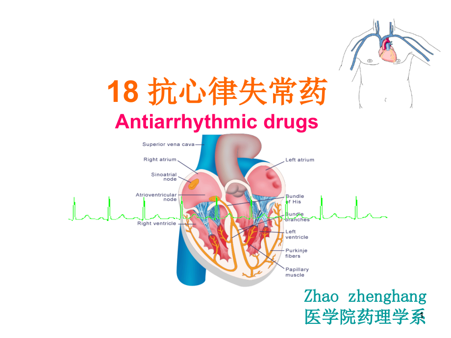 07抗心律失常药_第1页