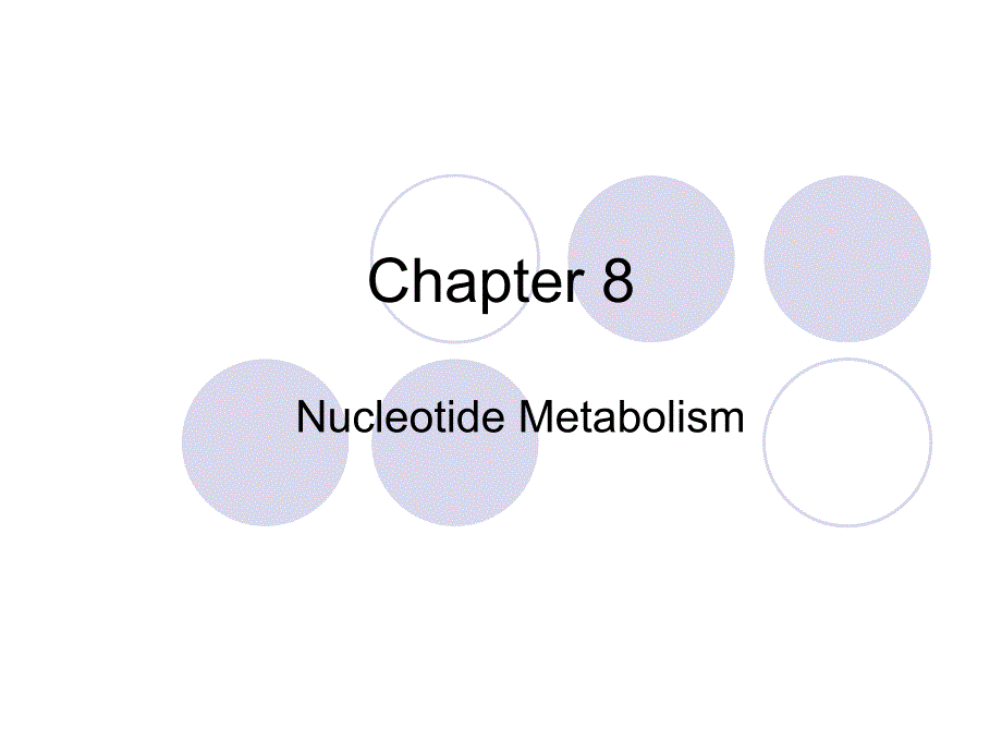 核苷酸代谢nucleotide metabolism_第1页