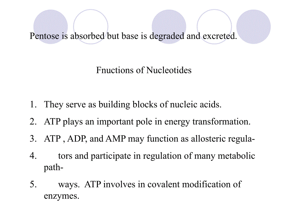 核苷酸代谢nucleotide metabolism_第4页