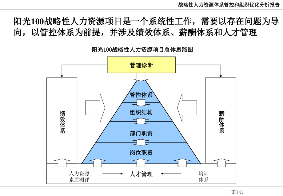 战略性人力资源体系管理咨询管控和组织优化分析报告_第2页