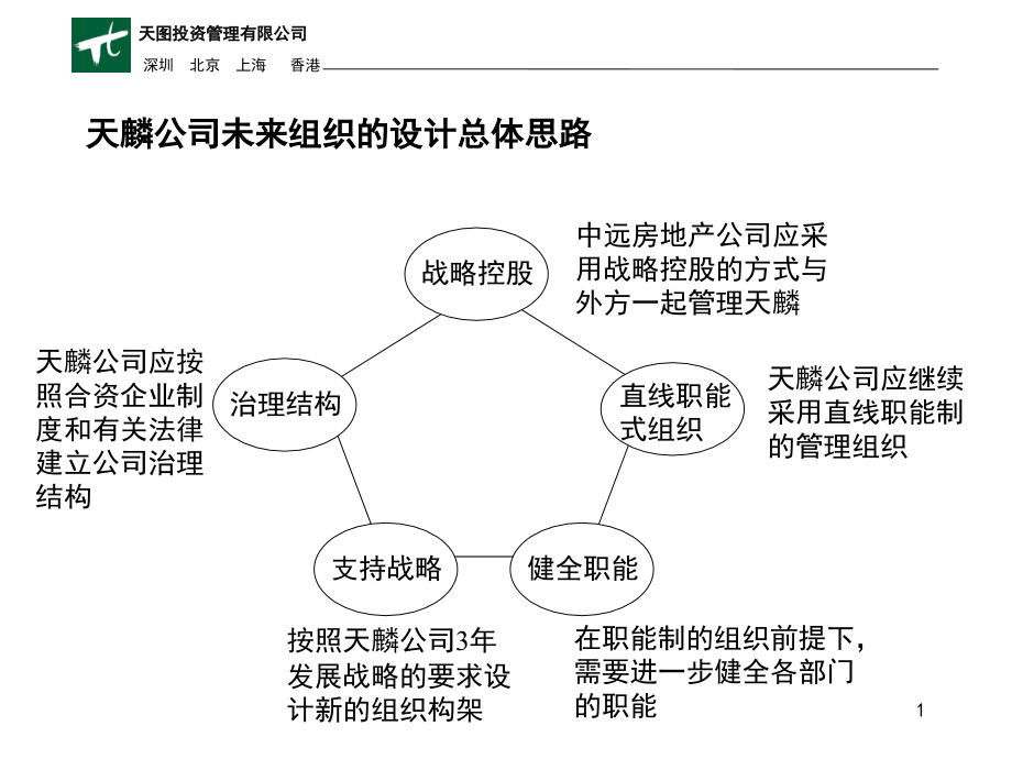 天麟公司未来组织的设计总体思路战略控股_第1页