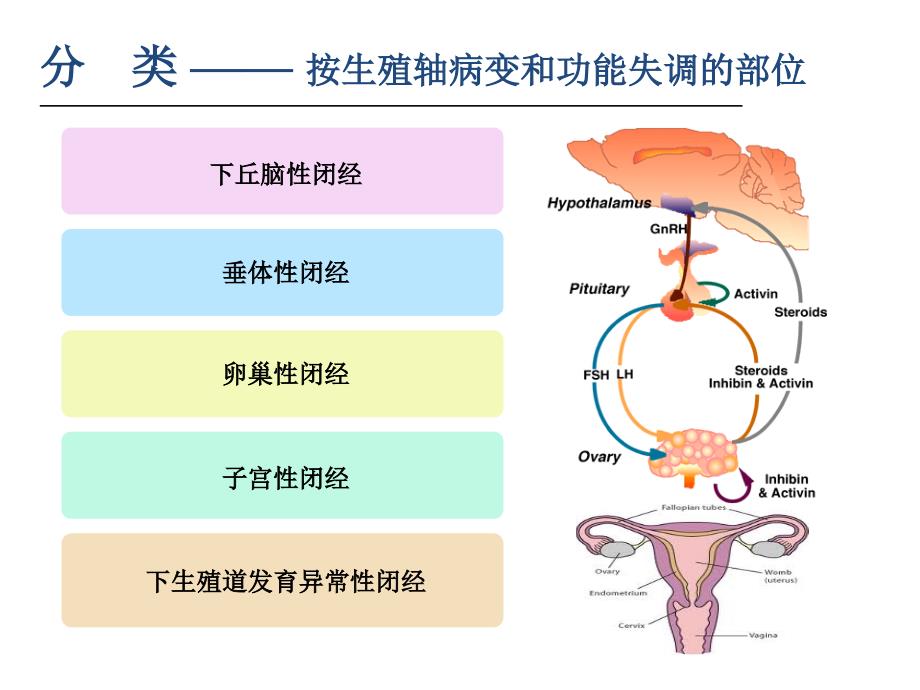 闭经诊断治疗指南解读(-08)【精品PPT】_第4页