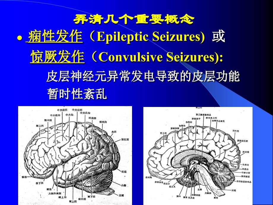 小儿急性(症状性)惊厥_第2页