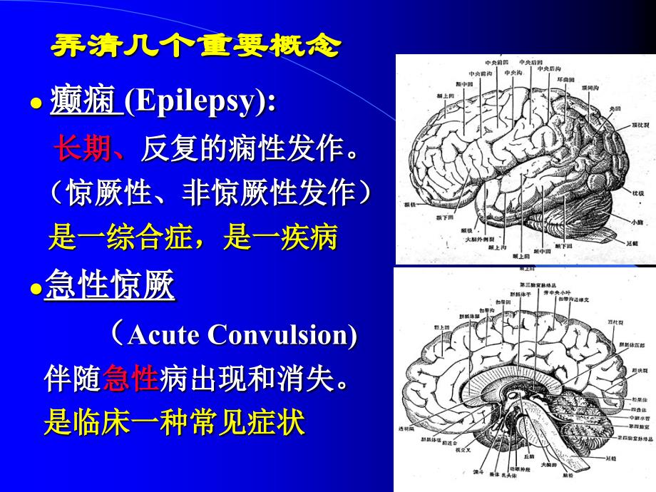 小儿急性(症状性)惊厥_第4页