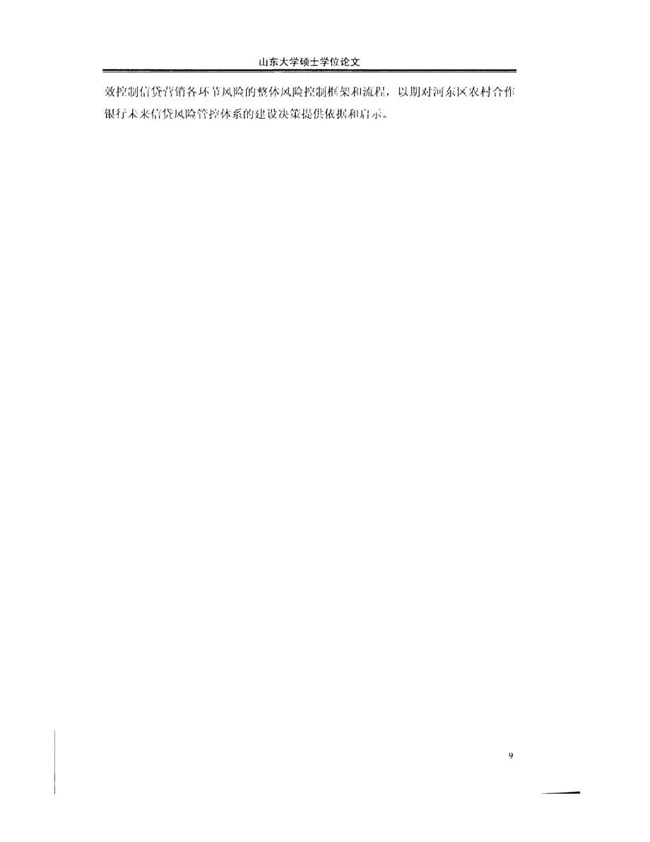 河东农村合作银行信贷风险管理研究参考_第5页