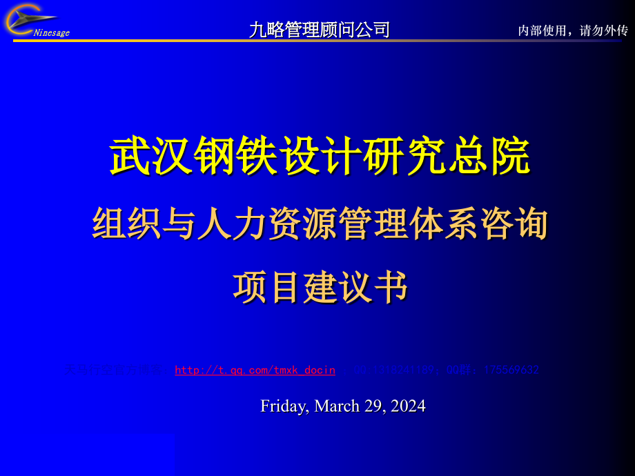 武汉钢铁设计研究院项目建议书_第1页