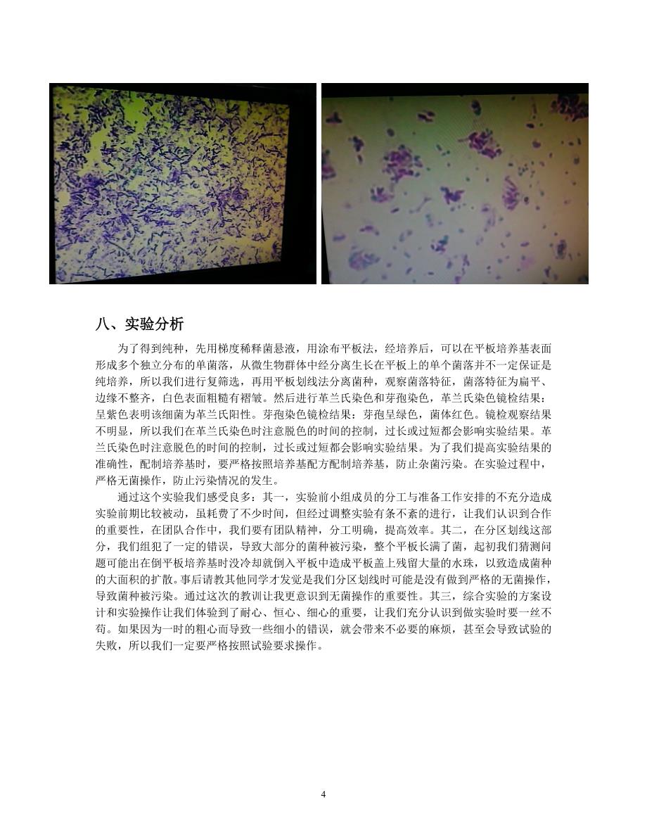 从土壤中分离芽孢杆菌的设计实验报告_第4页