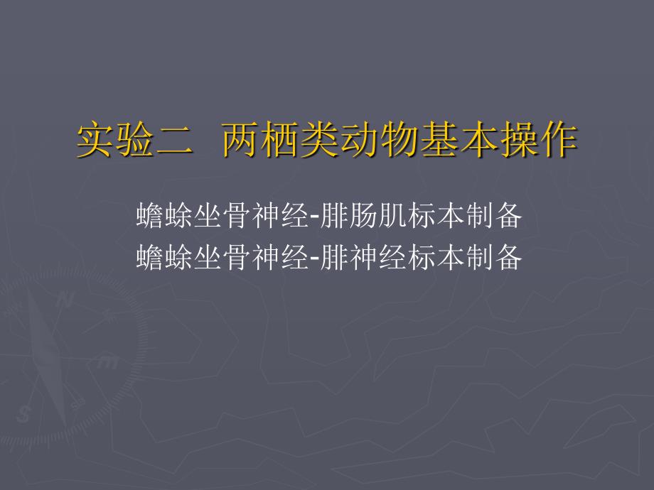 实验二  两栖类基本操作1_第2页