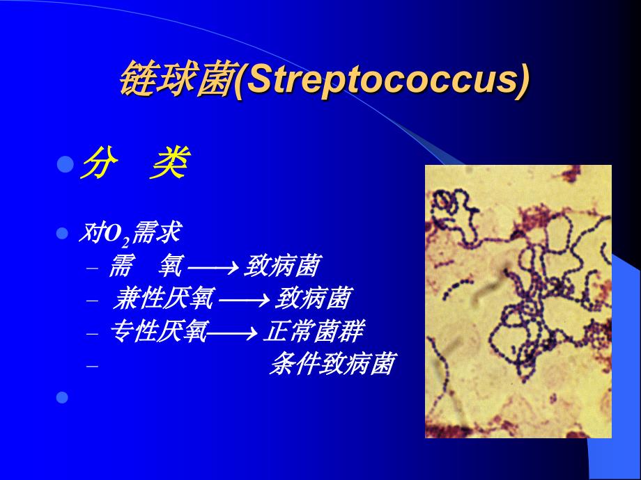 链球菌(Streptococcus)_第1页