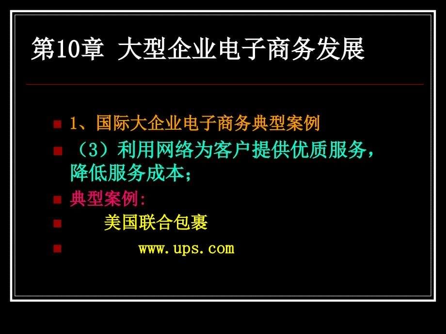 大型企业电子商务发展_第5页