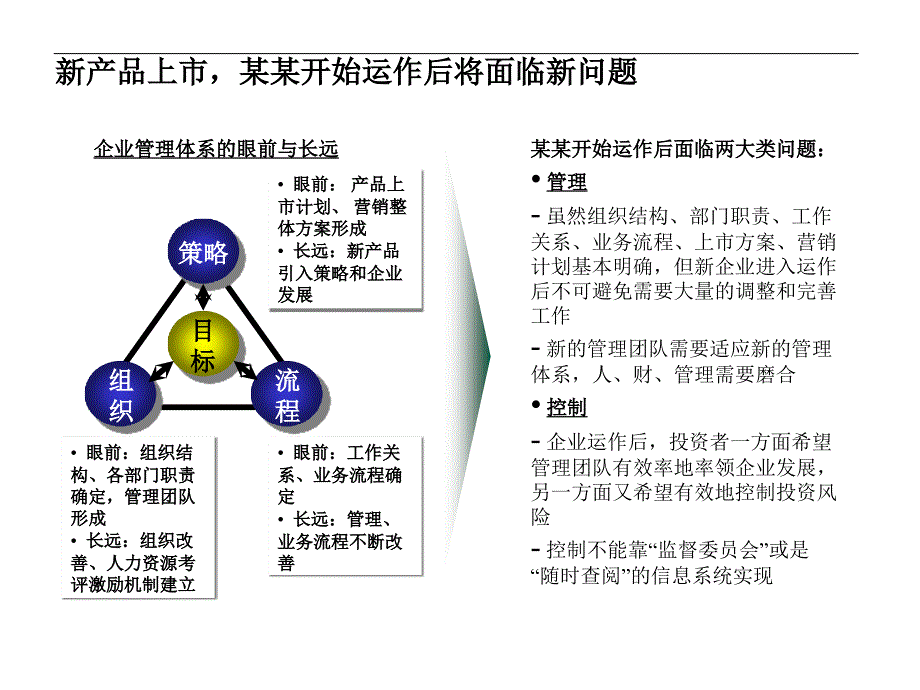 建立控制与效率并重的内控管理体系ppt_第3页