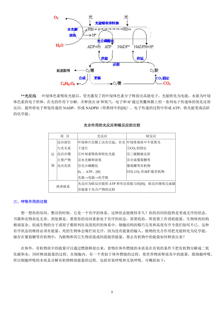 生物的新陈代谢  光合作用  呼吸作用_第2页