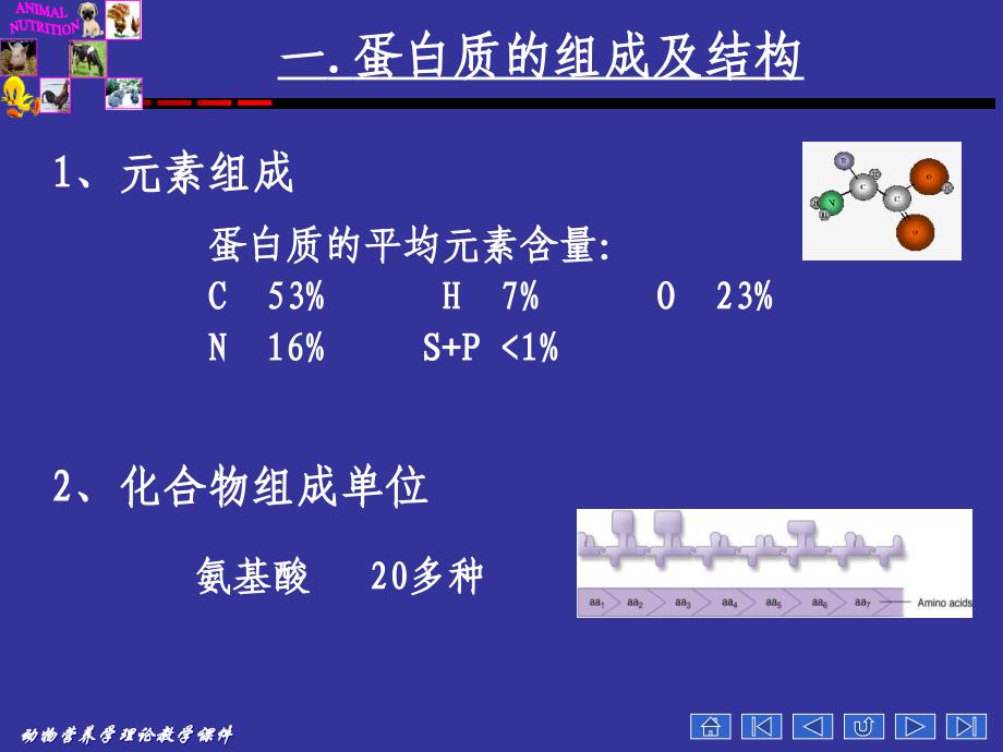 蛋白质的营养_第4页