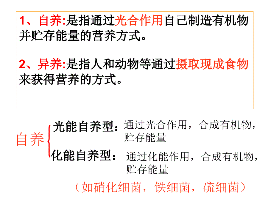 代谢的多样性1_第2页