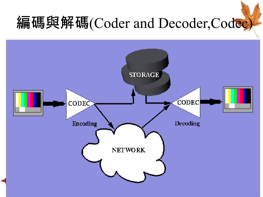 石岳峻 博士 影像格式_第3页