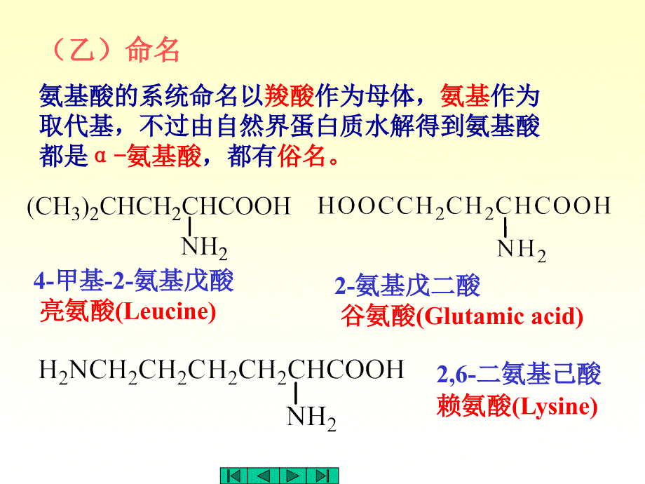 蛋白质与核酸_第4页