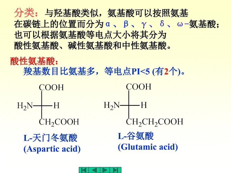 蛋白质与核酸_第5页