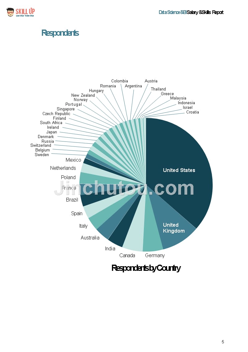 数据科学领域薪资和技能报告.The most comprehensive global IT skills and salary survey ever._第4页