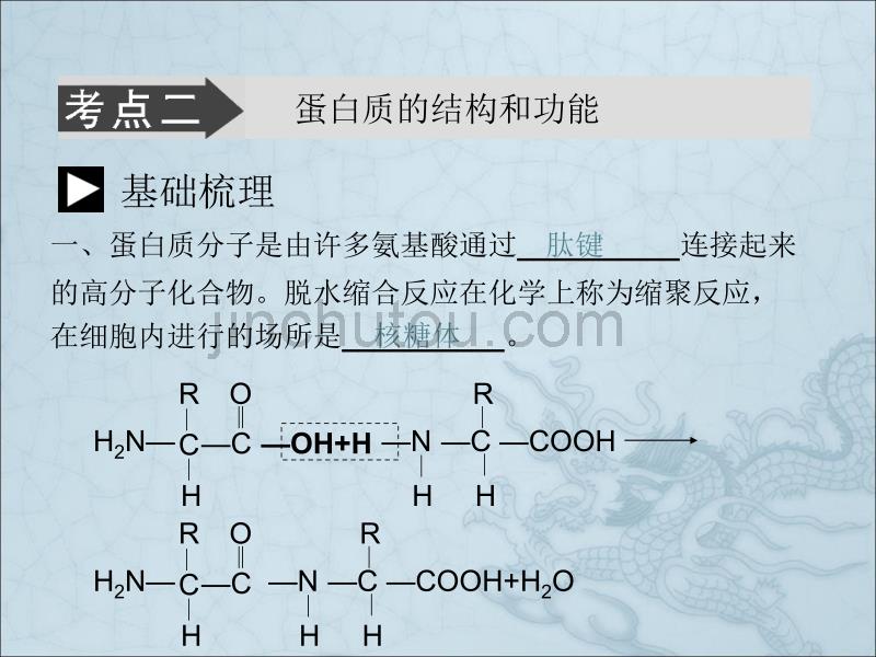  生命活动的主要承担者-蛋白质_第5页