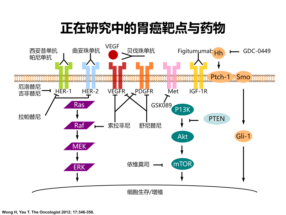 阿帕替尼在胃癌中的应用(外科)_第3页