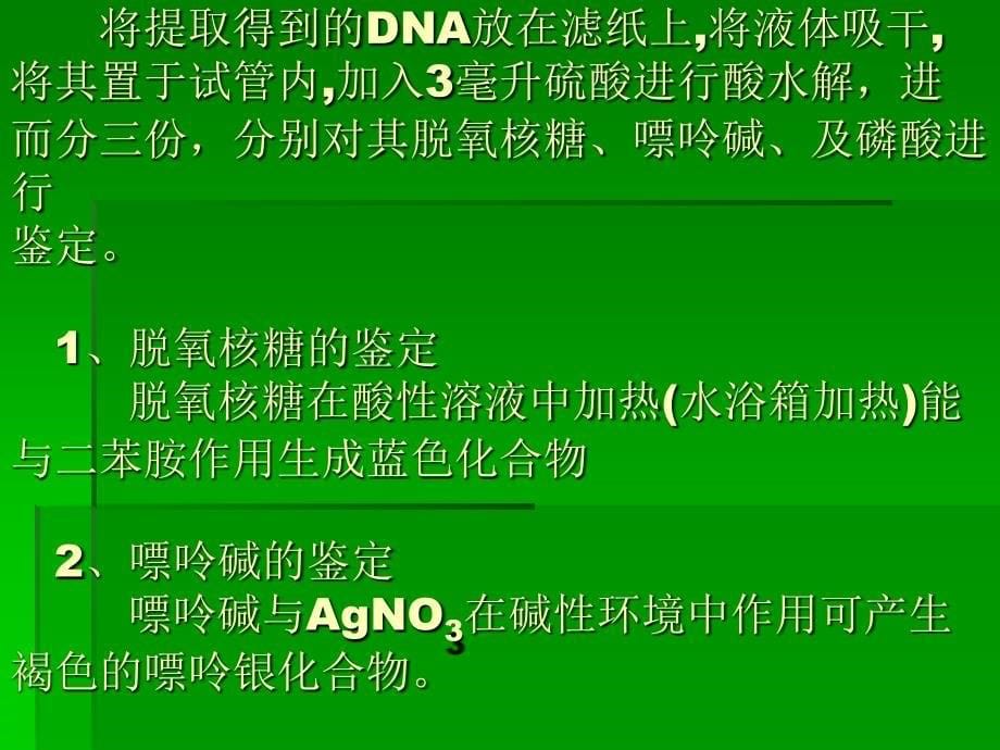 生化实验4动物肝脏DNA的提取和鉴定_第5页