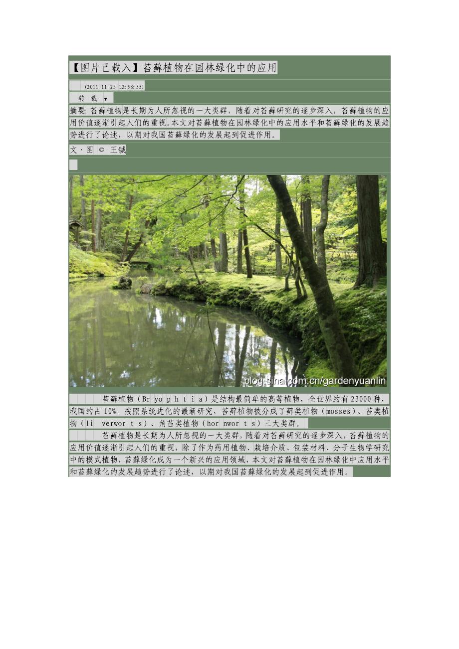 苔藓植物在园林绿化中的应用_第1页