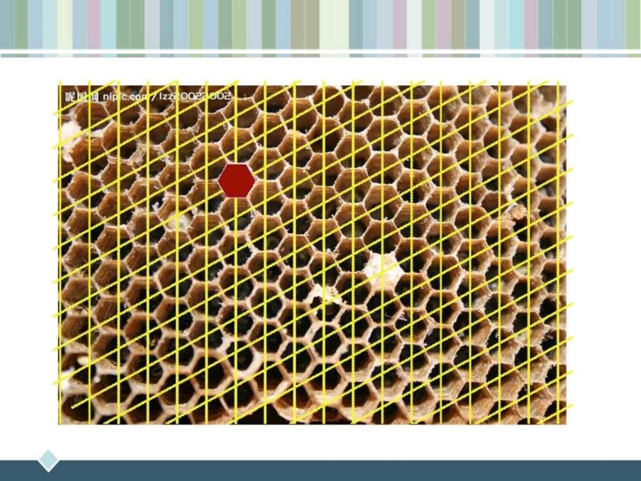 平面构成的骨骼与基本形式1_第3页