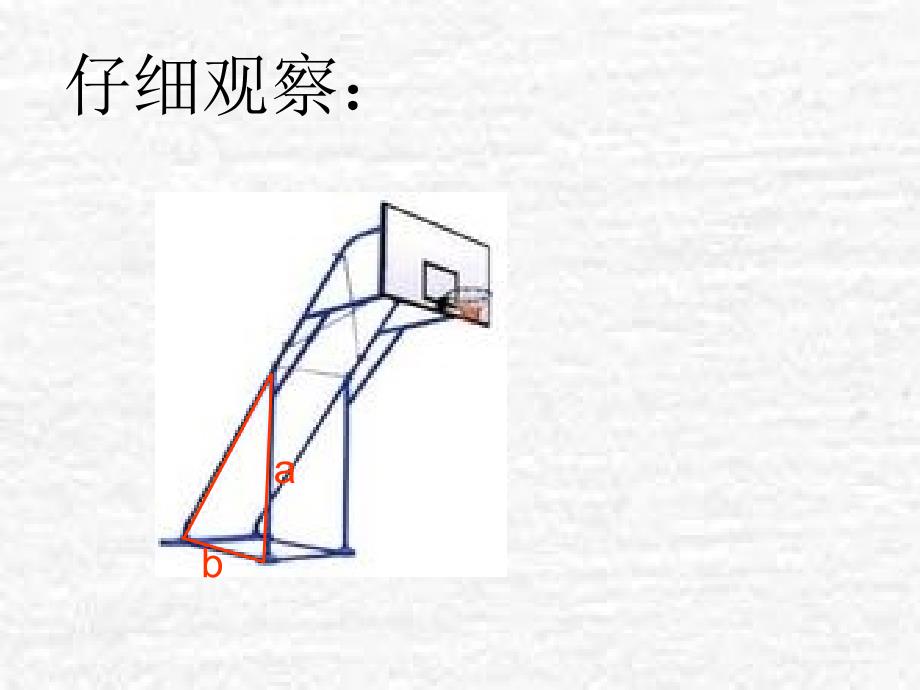 【初中数学课件】整式（1）ppt课件_第3页