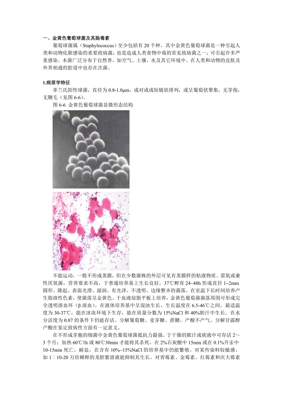 金黄色葡萄球菌及其肠毒素_第1页