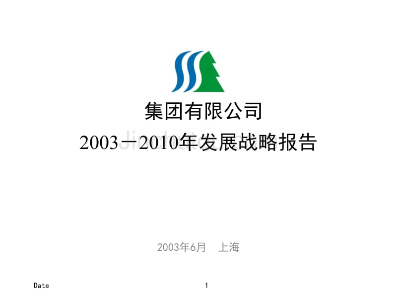 某著名服装企业集团2003-2010年发展战略报告_第1页