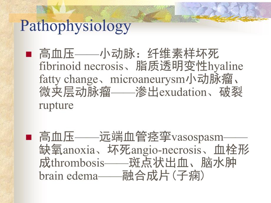 高血压小动脉纤维素样坏死fibrinoid_第4页